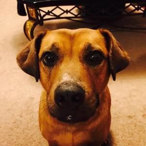 Meet your Posher, Andrea